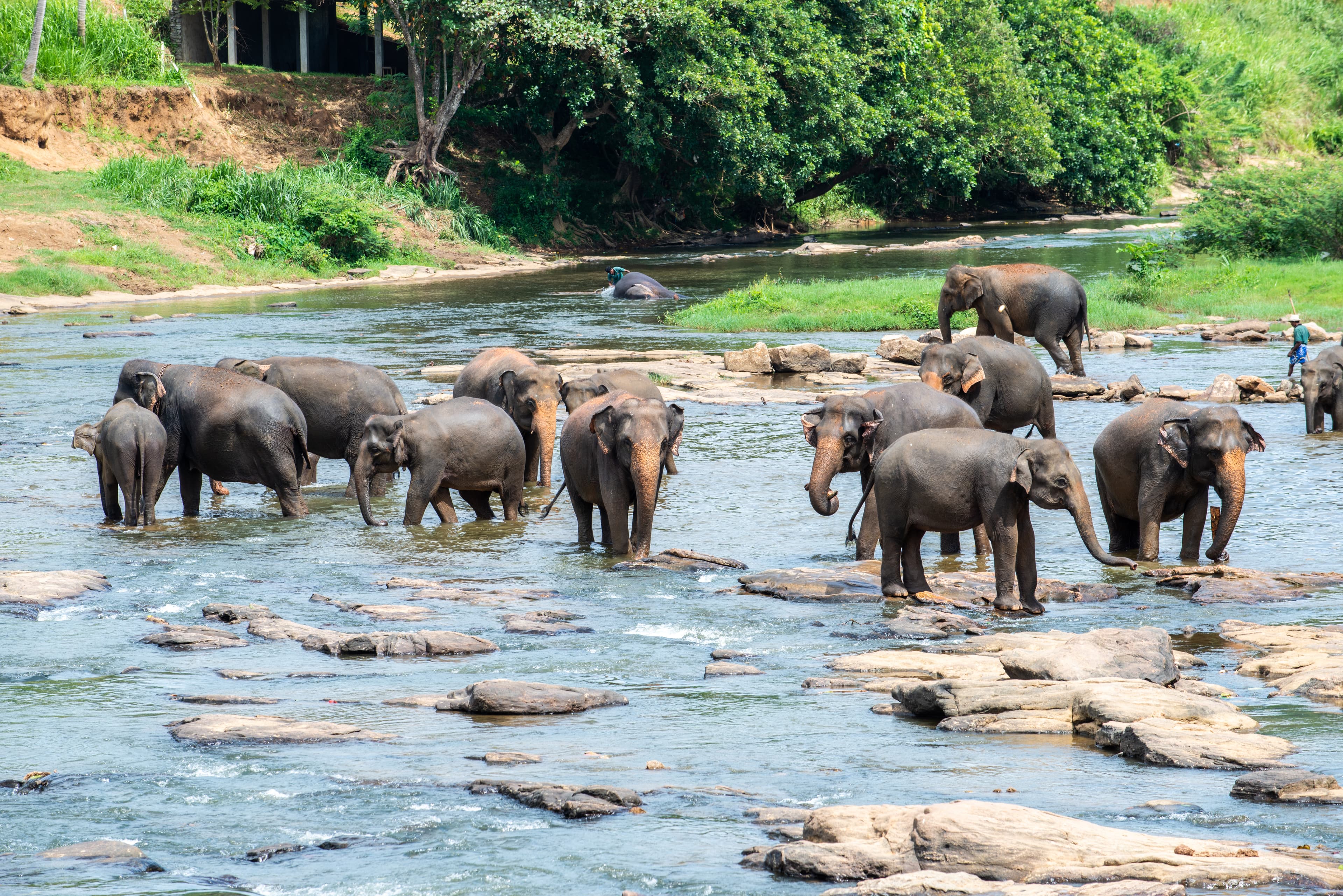 Designing a Journey Around Personal Interests