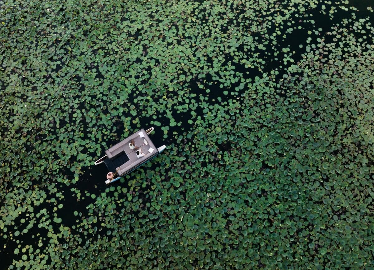 Slow Travel in Sri Lanka: When Less Becomes Everything