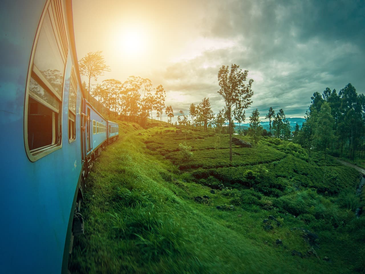 Chasing Horizons: Privately Crafted Sri Lanka Journeys 