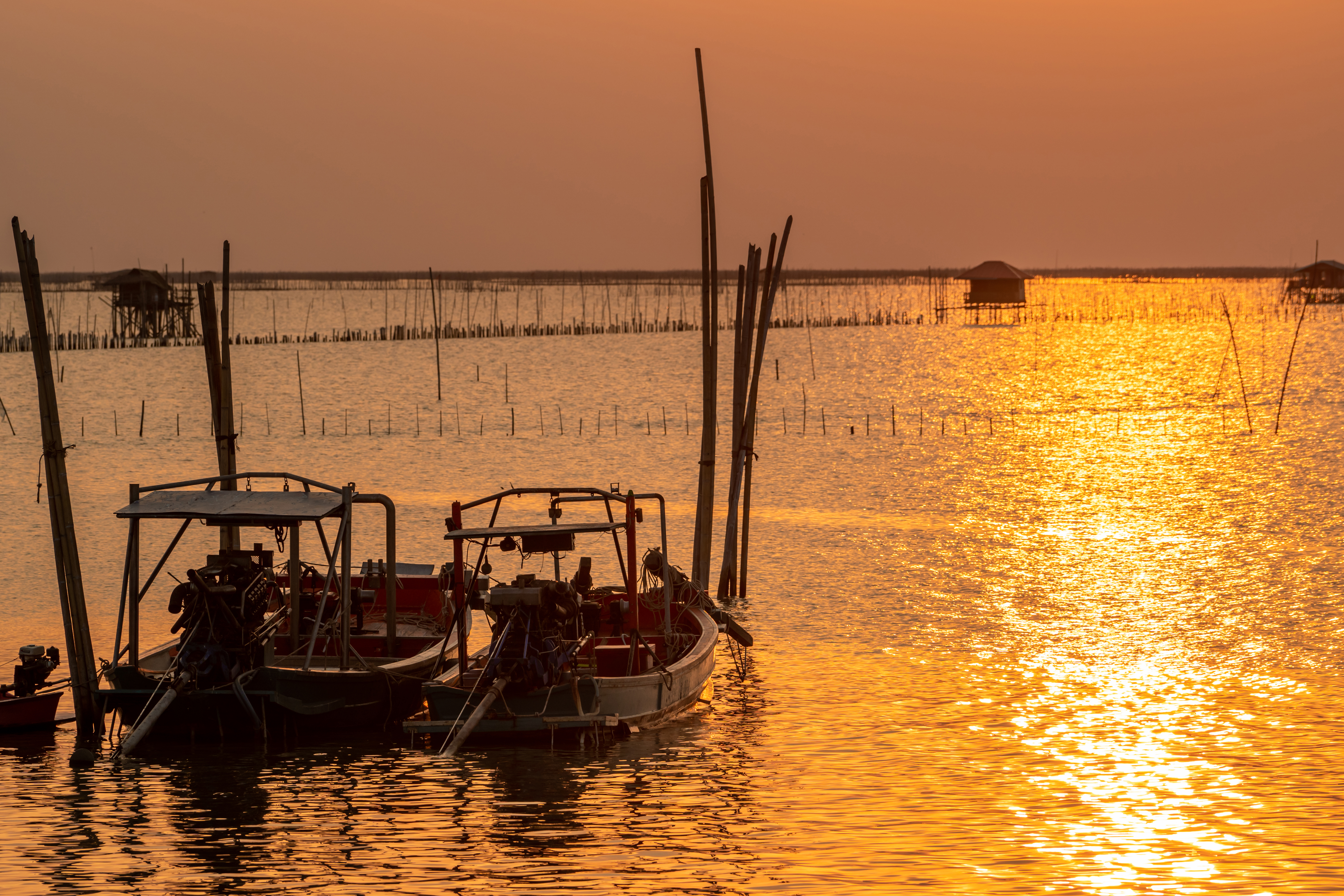 Negombo City & Canal Tour